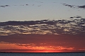 Resize of IMG_0838